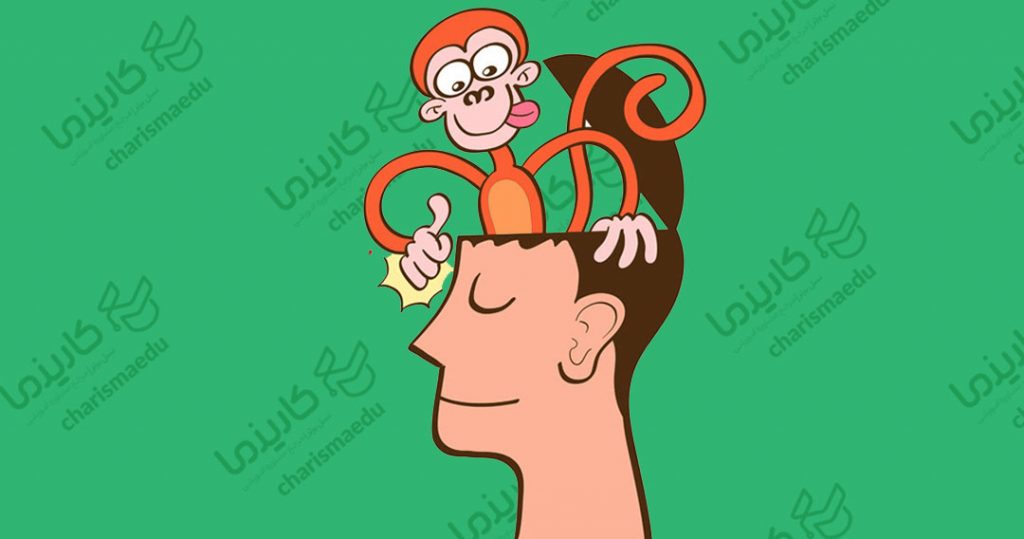 مغز میمون